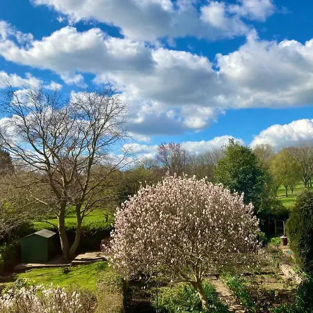 Serviced Studio In Bournville-2