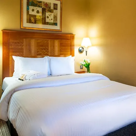 Copthorne Hotel Birmingham-2