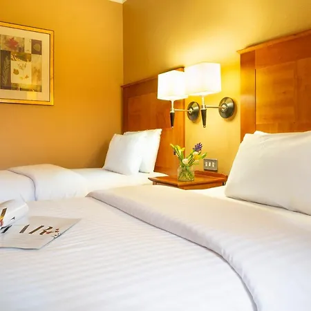 Copthorne Hotel Birmingham-3
